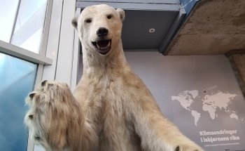 Akvariet i Bergen - The National Aquarium