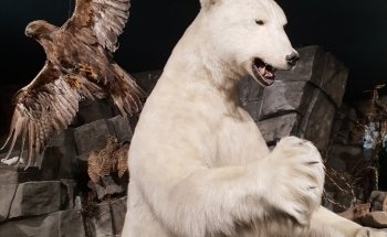 Akvariet i Bergen - The National Aquarium