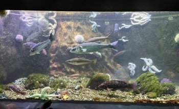 Drøbak Akvarium