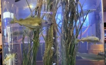 Drøbak Akvarium