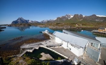 Lofotakvariet - The Lofoten Aquarium