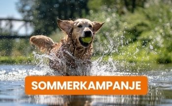Pets Zoologen