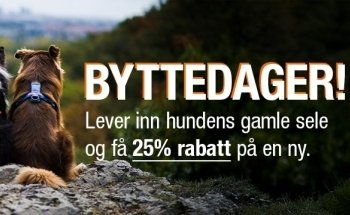 Pets Zoologen