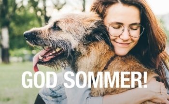 Pets Zoologen