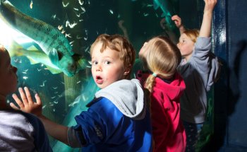 Risør Aquarium Foundation