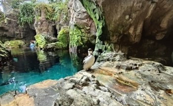 Oceanário de Lisboa