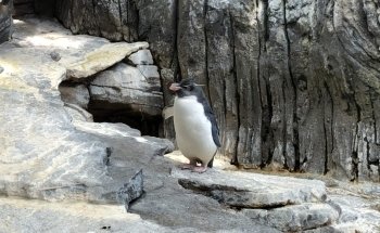 Oceanário de Lisboa