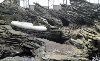 Oceanário de Lisboa