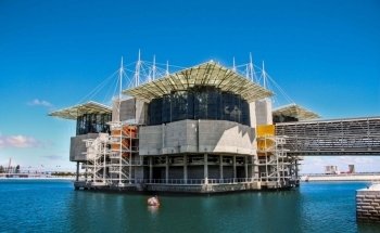 Lisbon Oceanarium