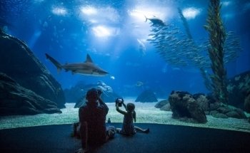 Oceanário de Lisboa