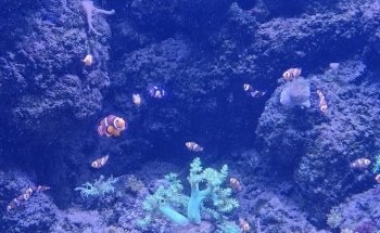 SEA LIFE Centre Porto