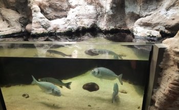 Fluviário de Mora