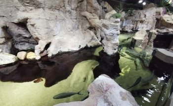 Fluviário de Mora