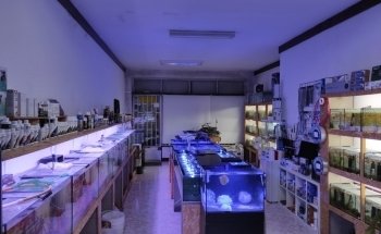 The Fish Shop