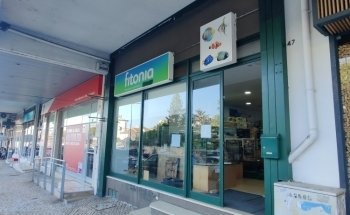 Fitonia