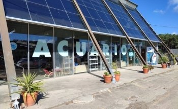Aquarium of Grove