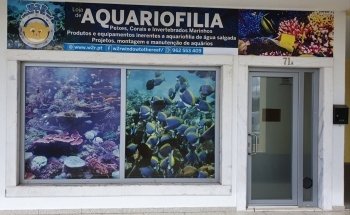 W2R Window to the Reef