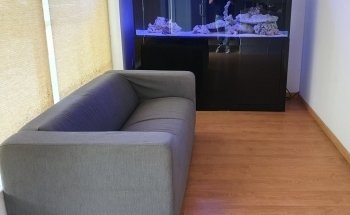 W2R Window to the Reef