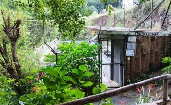 Truticultura do Bestança - Viveiro de Trutas em Cinfães