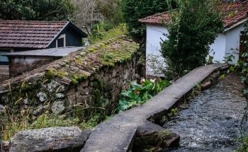 Truticultura do Bestança - Viveiro de Trutas em Cinfães