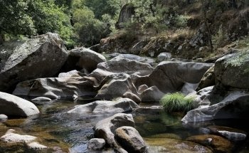Truticultura do Bestança - Viveiro de Trutas em Cinfães