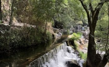 Truticultura do Bestança - Viveiro de Trutas em Cinfães