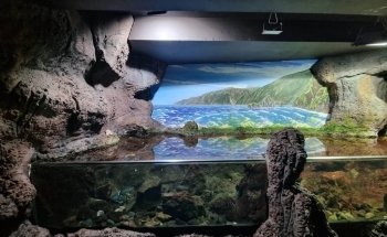 Aquário da Madeira