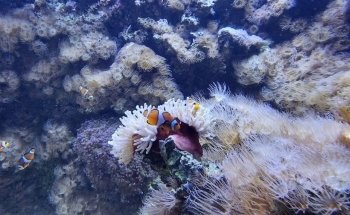 SEA LIFE Helsinki