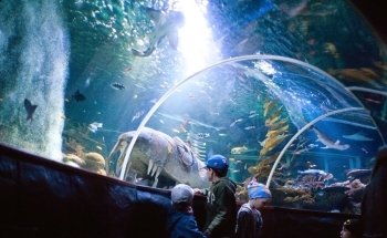 SEA LIFE Helsinki