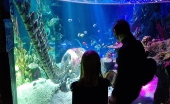 SEA LIFE Helsinki
