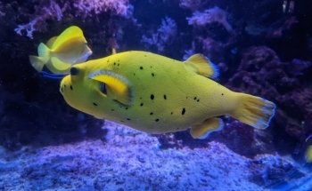 SEA LIFE Helsinki