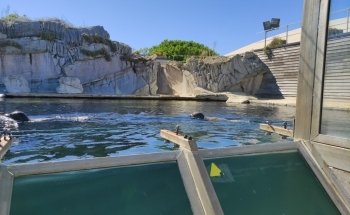 Seaquarium Institut Marin