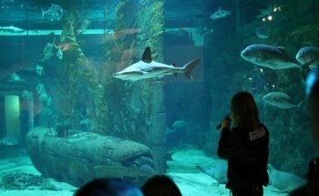 Seaquarium Institut Marin