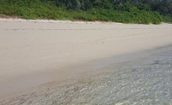 Marineland Croc Park