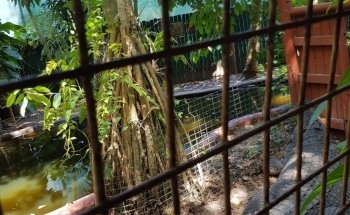 Marineland Croc Park