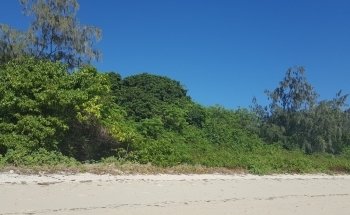 Marineland Croc Park