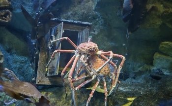 Grand Aquarium Saint Malo