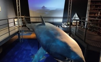Grand Aquarium Saint Malo