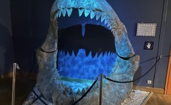 Grand Aquarium Saint Malo