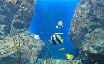 Grand Aquarium Saint Malo