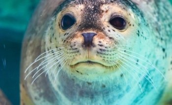 Biarritz Aquarium