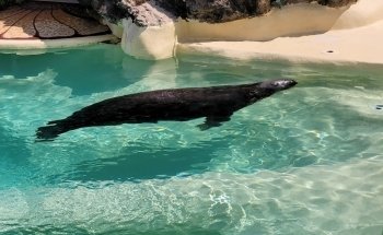 Biarritz Aquarium
