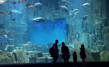 Aquarium de Paris
