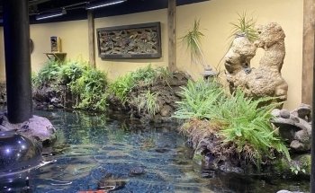 Aquarium de Paris