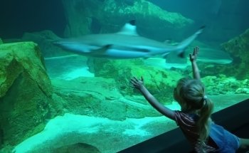 Aquarium de Paris