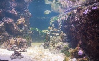 Aquarium de Paris