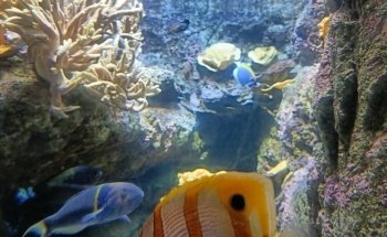 Aquarium de Paris