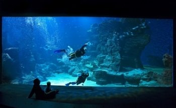 Planet Ocean World
