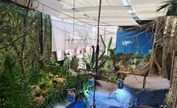 Oniria - Aquarium Canet-en-Roussillon