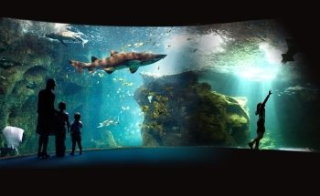 La Rochelle Aquarium